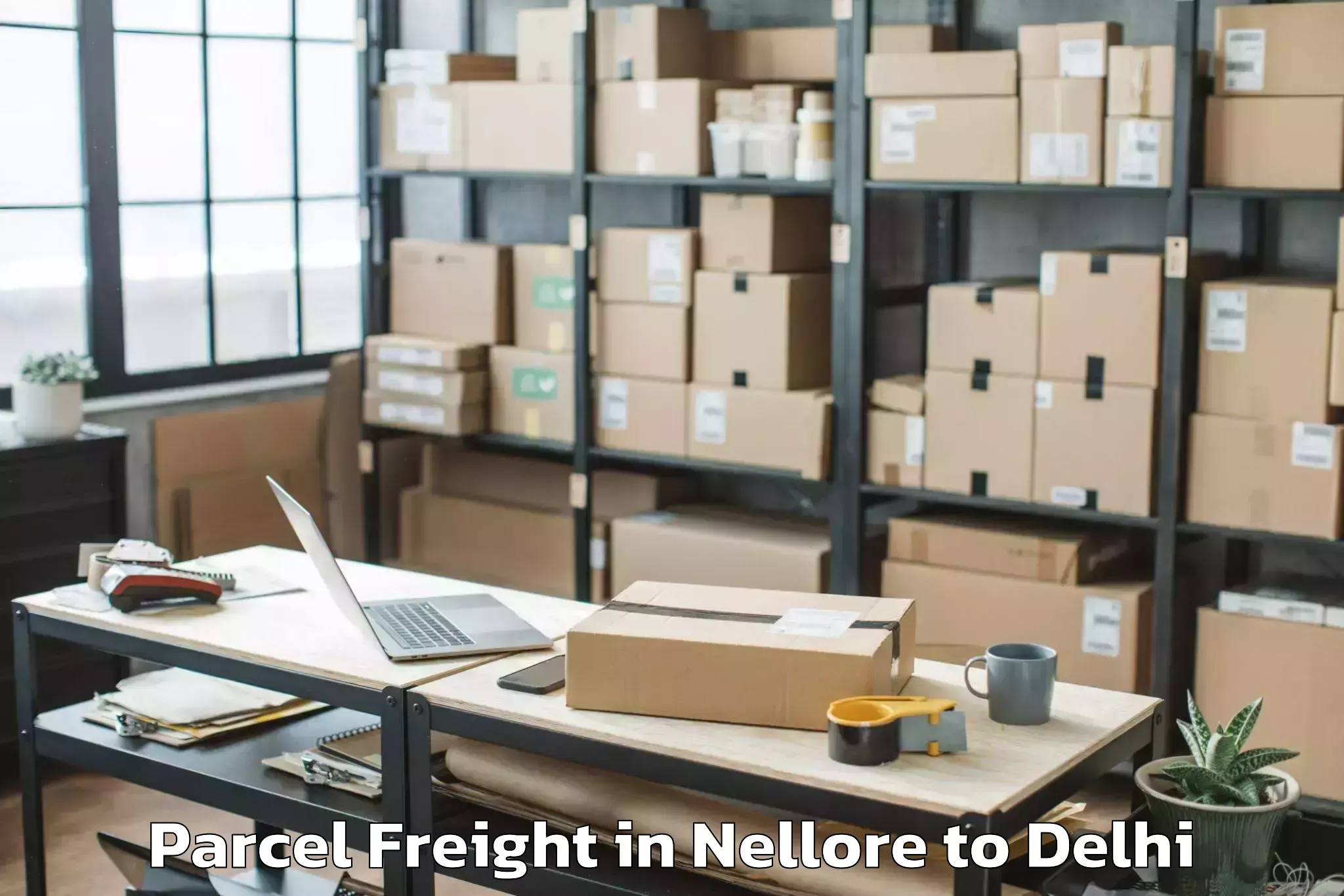 Easy Nellore to Sarojini Nagar Parcel Freight Booking